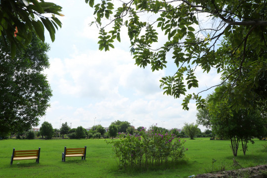 Glimpses of KFUEIT's Campus